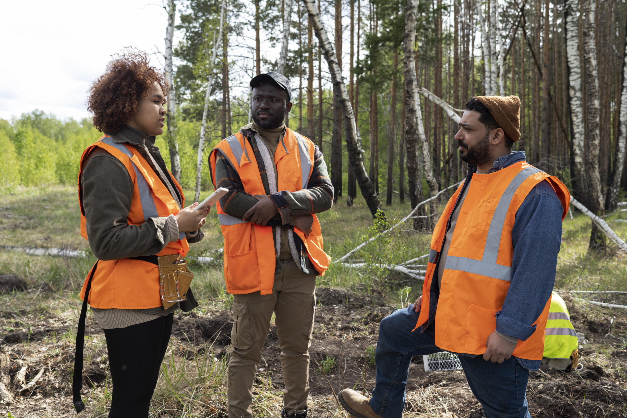 reforestation-done-by-voluntary-group